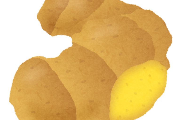 vegetable_syouga